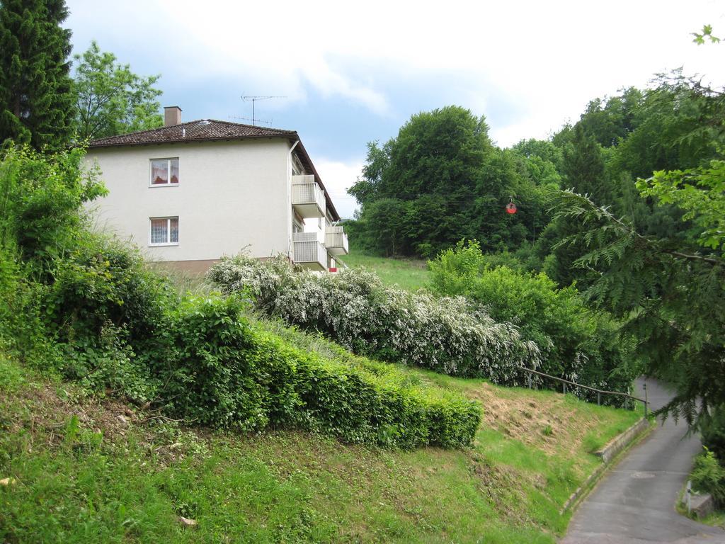 Schlossberg Ferienwohnung Waldeck  Εξωτερικό φωτογραφία